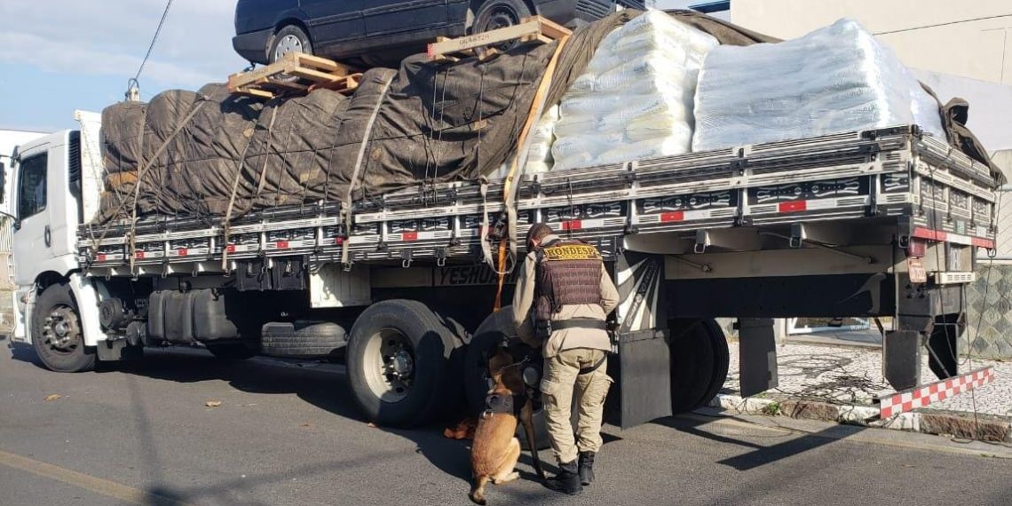 101 kg de cocaína ocultos em ração de peixe são achados pela PF e PM
