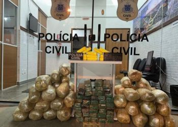 Polícia Civil apreende 111 quilos de maconha e cocaína no interior