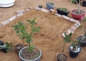 Corpo de mulher é encontrado enterrado na zona rural. Companheiro está desaparecido