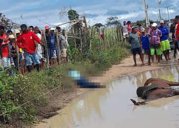 Homem e cavalo morrem eletrocutados em fio de alta tensão caído em poça d’água