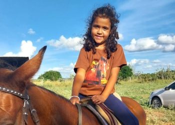 Menina de 6 anos desaparece após sair para visitar amiga em Araci