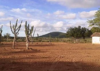 Lançamento do Programa BRAVE e CIMATEC Sertão com a presença de Geraldo Alckmin será na zona rural de Coité