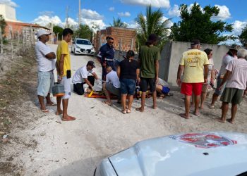 Mulher cai de moto após atropelar cachorro em estrada vicinal