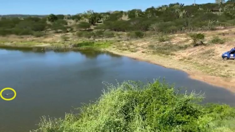 Mulher morre supostamente vítima de afogamento em açude quando tomava banho junto com o companheiro (atualizada)