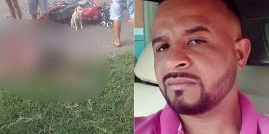 Cão ‘protege’ tutor ferido em rodovia após sofrer acidente de moto, mas a vítima não resistiu