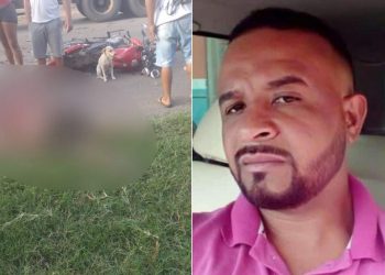 Cão ‘protege’ tutor ferido em rodovia após sofrer acidente de moto, mas a vítima não resistiu
