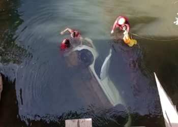 GO – Quatro estudantes de medicina veterinária morrem após carro cair de ponte