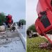 Caminhão ‘fica em pé’ em acidente quando passava em ponte na BR 235