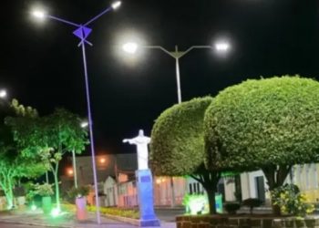 Decreto de prefeitura que possibilita abate de animais de rua gera indignação