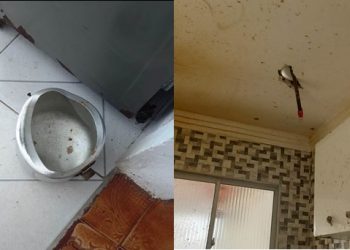 Mulher fica ferida após panela de pressão explodir – Vídeo