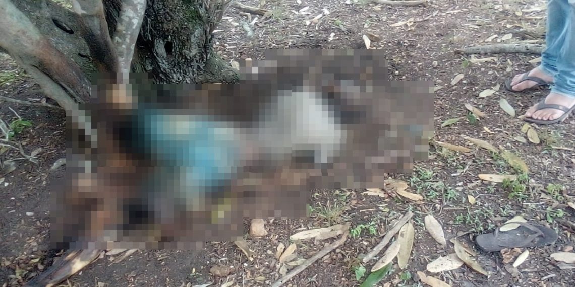 Corpo em avançado estado de decomposição é encontrado na zona rural de Serra Preta