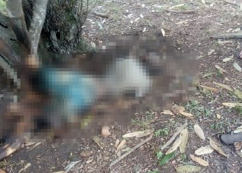 Corpo em avançado estado de decomposição é encontrado na zona rural de Serra Preta