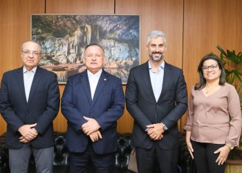 Adolfo Menezes recebe presidente da Neonergia Coelba