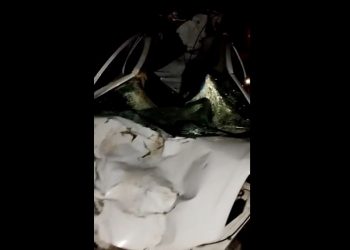 Carro fica destruído ao colidir com cavalo na BA 120; motorista escapou com vida (vídeo)