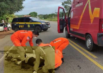 Homem fica gravemente ferido ao ser atropelado na BR 110