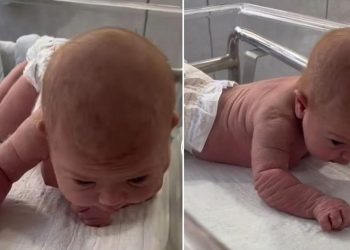Recém-nascida de 3 dias surpreende ao levantar a cabeça e engatinhar; assista