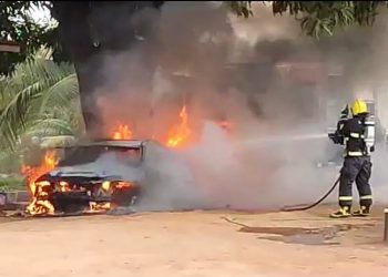 MT – Homem tenta matar abelhas e coloca fogo em carro de luxo