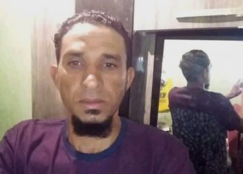 tratorista morre após ser atacado por abelhas