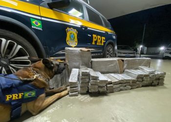 PRF apreende tabletes de maconha em ônibus que saiu de Florianópolis-SC e seriam levados para Conceição do Coité-BA