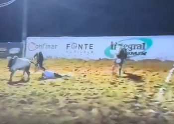 Acidente durante vaquejada deixa vaqueiro gravemente ferido (vídeo)