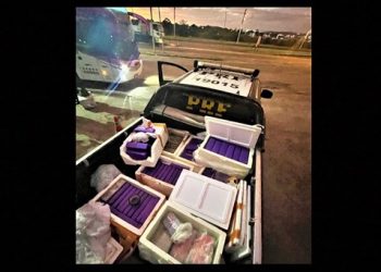 Maconha e cocaína despachadas como encomenda são apreendidas em Feira de Santana