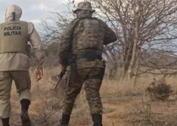 PM apreende revólver e erradica 35 mil pés de maconha em Campo Formoso