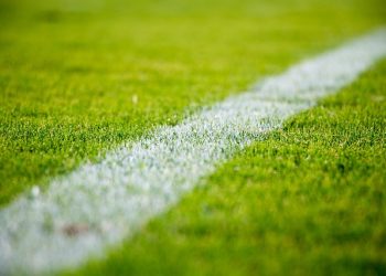 Confronto interno e pedreiras: o caminho dos brasileiros na Libertadores