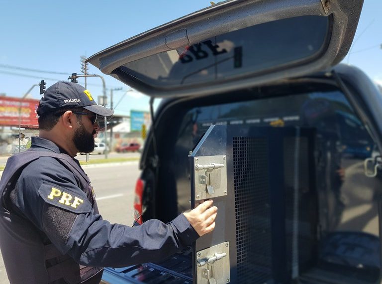 Homem é preso pela PRF acusado de importunação sexual dentro de ônibus na BR 116