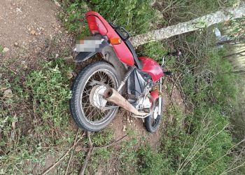 Corpo de professora é encontrado dentro de matagal