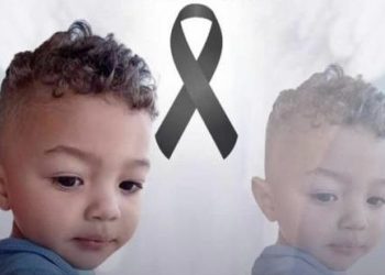 Menino de 2 anos morre após ser picado por escorpião