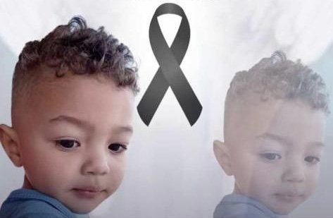 Menino de 2 anos morre após ser picado por escorpião