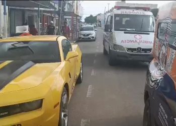 ‘Moradia de luxo’: abelhas se alojam debaixo de Camaro e Brigada Anjos Jacuipenses expulsa