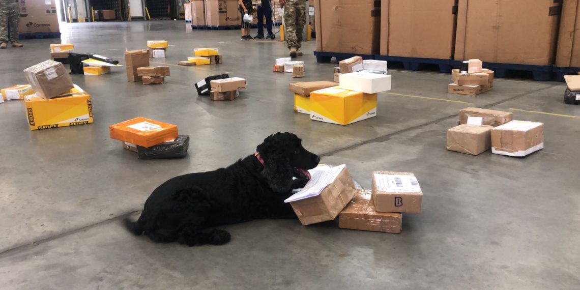 Denarc apreende drogas avaliadas em meio milhão nos Correios