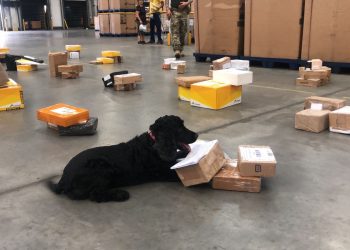 Denarc apreende drogas avaliadas em meio milhão nos Correios