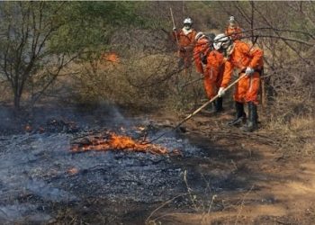 Fogo em lixo provoca explosão de transformador e deixa mais de 110 mil residências sem energia em Juazeiro e cidades da região