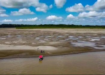 Norte e Nordeste enfrentam pior seca desde 1980; especialistas alertam para consequências