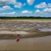 Norte e Nordeste enfrentam pior seca desde 1980; especialistas alertam para consequências