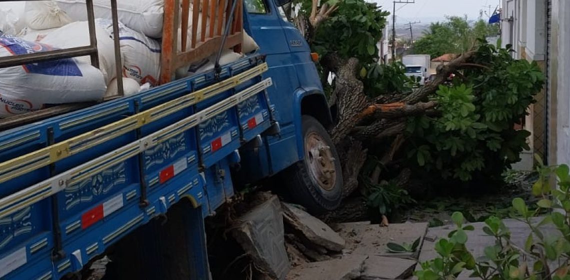 Caminhão colide em árvore após perder freio; diz motorista