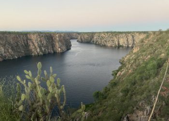 Alertas de desmatamento na Bacia do São Francisco aumentam 546% em 4 anos