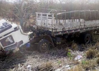 Cabine desprende com caminhão em movimento e arremessa motorista pra fora do veículo