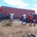 Vídeo – Motorista de Hilux fica ferido em colisão com caminhão boiadeiro na BA 120