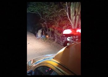 Homem é transferido em estado grave após colidir com cerca de arame e pé de mandacaru