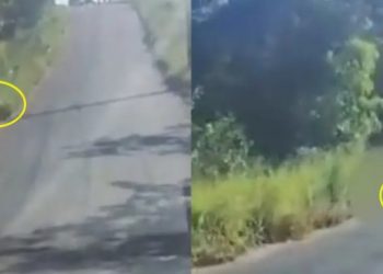 Vídeo: mulher é presa após ser flagrada esfaqueando homem em rodovia na Bahia
