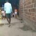 Seis pessoas de uma mesma família morrem após ataque a tiros; criança e gestante estão entre as vítimas