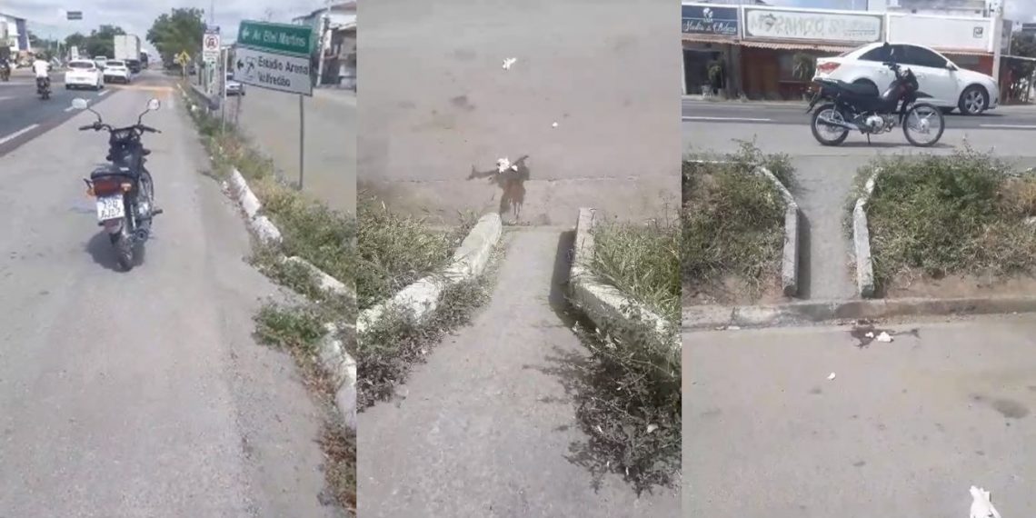 Idosa que sofreu queda após descer de ônibus permanece na UTI. Familiares apontam erro do motorista parar em cima de rampa