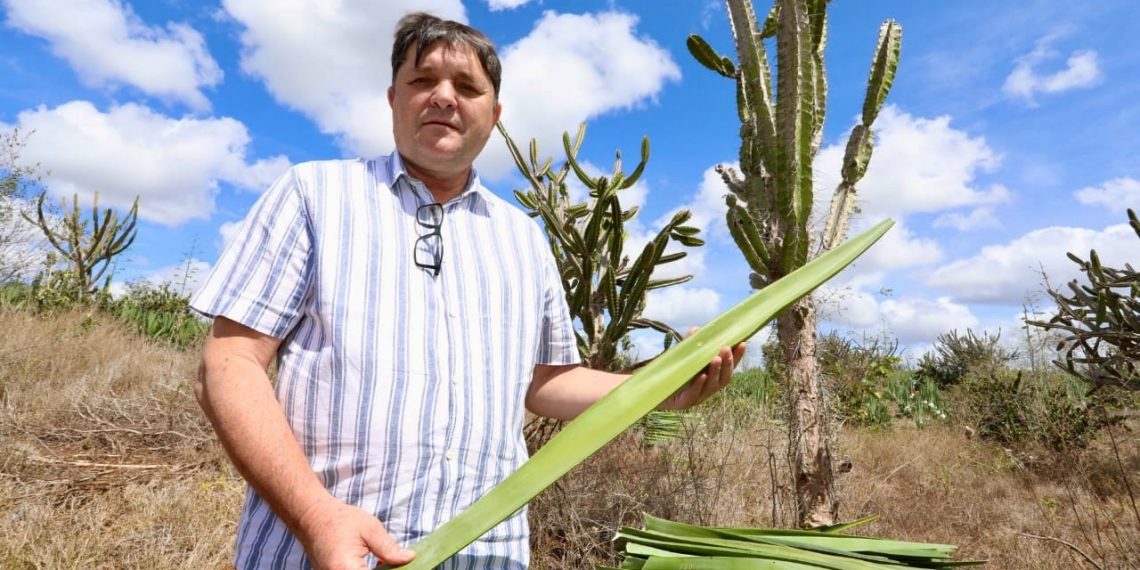 Secretário Nacional da Agricultura Familiar ficou super entusiasmado após conhecer toda cadeia produtiva do sisal em Valente