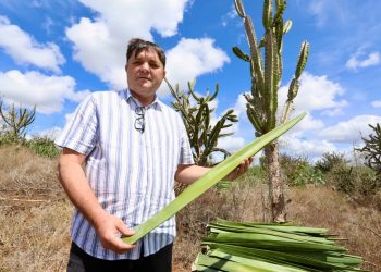 Secretário Nacional da Agricultura Familiar ficou super entusiasmado após conhecer toda cadeia produtiva do sisal em Valente