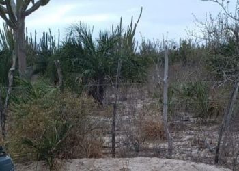 Homem é encontrado morto ao lado de motocicleta em estrada vicinal