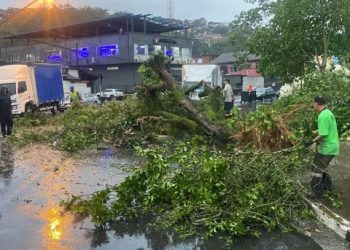 Seis pessoas morrem em São Paulo em decorrência das chuva