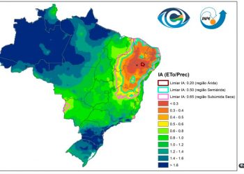 Estudo identifica, pela primeira vez, região árida no Norte da Bahia